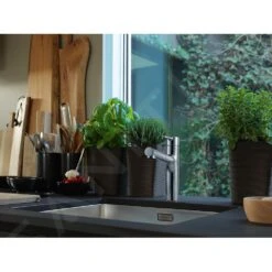 Franke Centro - Spültischarmatur FP 0098.031 Mit Ausziehbarem Endstück, Verchromt 115.0600.098 -FRANKE Geschäft 6aa6c7ebef0754a113caefe0