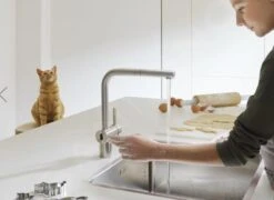 Franke Atlas Neo - Elektronische Spültischarmatur FC 5489. 501, Edelstahl 115.0625.489 -FRANKE Geschäft 93d951e6b023bdc5a5725ca5