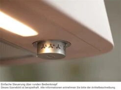 Franke Smart Deco FSMD 508 GY Wandhaube 50 Cm Light Grey -FRANKE Geschäft franke fsmd508 szene2