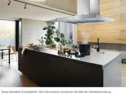 Franke 325.0552.774 Tale 905 I XS Inselhaube 90 Cm Edelstahl -FRANKE Geschäft franke tale 905ixs 6